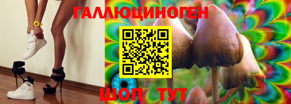 Псилоцибиновые грибы Cubensis  Вход с VPN  Рязань  Галлюциногенные грибы ЛСД 